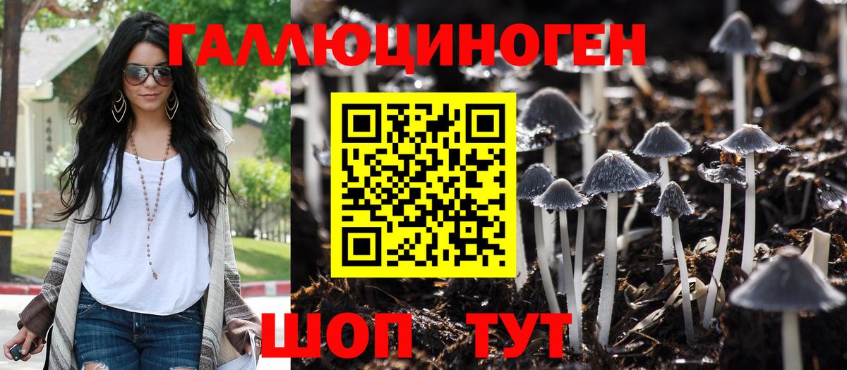 Мирный  Галлюциногенные грибы MAGIC MUSHROOMS  Вход с VPN  цены наркотик  Галлюциногенные грибы ЛСД 